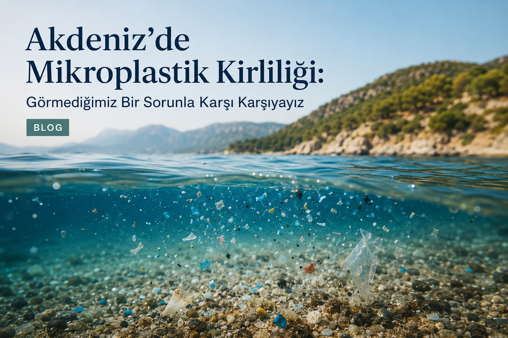 Akdeniz’de Mikroplastik Kirliliği: Görmediğimiz Bir Sorunla Karşı Karşıyayız